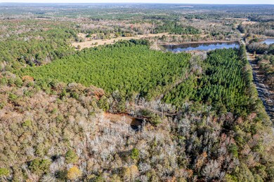 0 Mansfield Brown Rd, Warthen, GA 31094 - photo 4