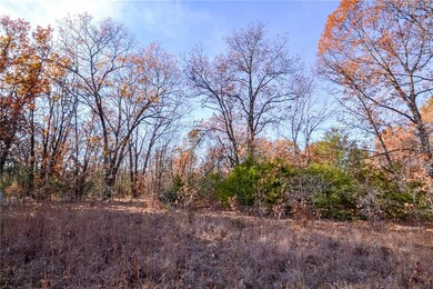 001 S Highway Aa N A, Stockton, MO 65785 - photo 7