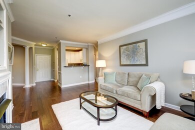 1321 N Adams Ct unit 301, Arlington, VA 22201 - photo 4