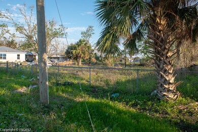 Palm Trees and other native growth