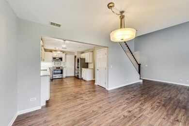 3931 Garnette Ct, Naperville, IL 60564 - photo 4