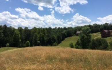 Additional View