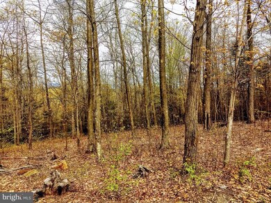 0 Bison Ridge Ln unit PAPY2002416, Newport, PA 17074 - photo 5