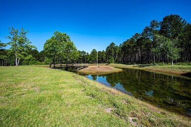 621 Old State Hwy 50, Sylvester, GA 31791 - photo 2