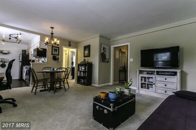 5114 Columbia Pike unit 3, Arlington, VA 22204 - photo 7