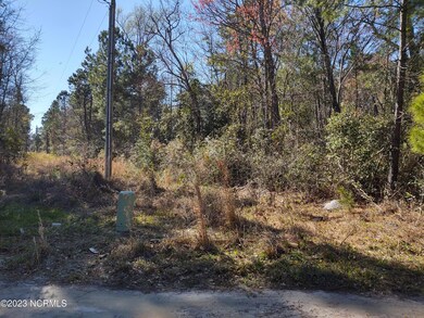 Demps power lines 1.pdf