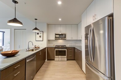 270 E Hennepin Ave unit 1019, Minneapolis, MN 55414 - photo 7