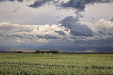 post_storm01-scaled