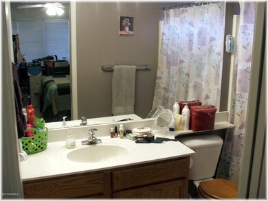 Master Bathroom II