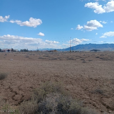 2860 W Carnation Way, Pahrump, NV 89048 - photo 2