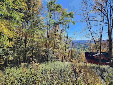 22 E Meadows Rd, Harman, WV 26270 - photo 6