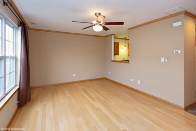 1909 Tawny Ct, Joliet, IL 60435 - photo 4