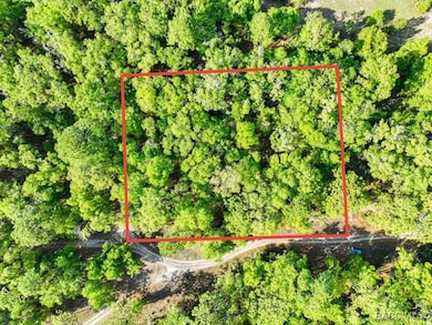 7451 W Rainbow St, Dunnellon, FL 34433 - photo 6