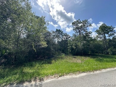 1050 E Whistler Ct, Hernando, FL 34442 - photo 5