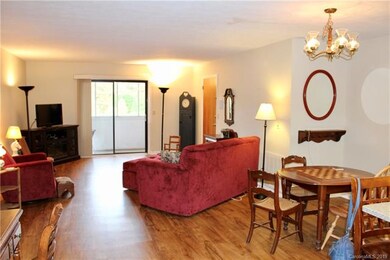 10 Ardis Ln unit B, Hendersonville, NC 28792 - photo 6