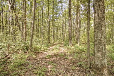 0 White Ash Trail unit 315689, Vanderbilt, MI 49795 - photo 4