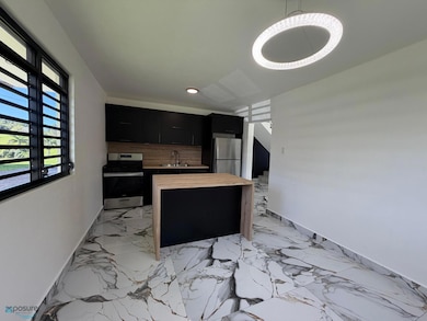 Sec Matias Carr 115, Aguada, PR 00602 - photo 3