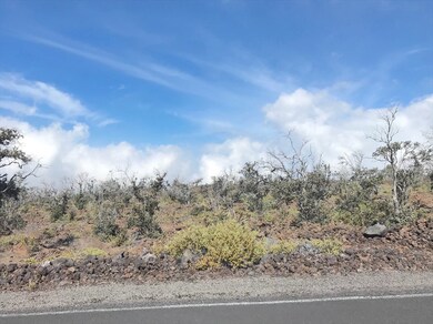 Small and large blooming Ohia trees throughout