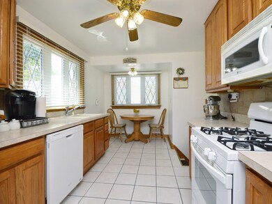 4442 Emerson Ave, Schiller Park, IL 60176 - photo 5