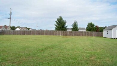 Look at the huge back yard with privacy fence