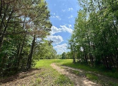 0 Silerton Rd, Toone, TN 38381 - photo 5