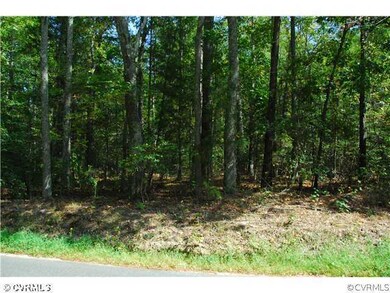 13350 Elmont Rd, Ashland, VA 23005 - photo 3