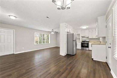 Kitchen with open floor plan, stainless steel appliances, white cabinetry, dark wood-type flooring, and a ceiling fan