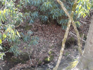 1395 Bald Mountain Rd, Burnsville, NC 28714 - photo 4