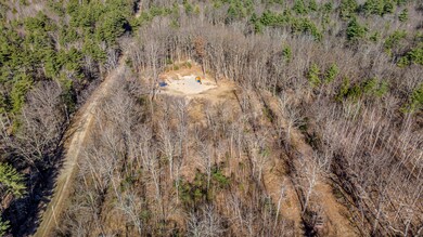 DJI_0413
