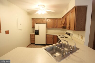 16236 Mountain Track Rd, Orange, VA 22960 - photo 5