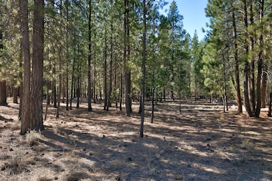 51915 Swiss, La Pine, OR 97739 - photo 2