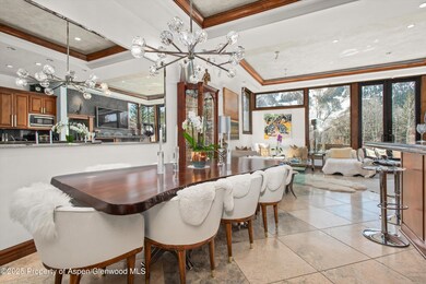 155 Lone Pine Rd unit 9, Aspen, CO 81611 - photo 5