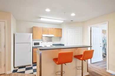 195 Yellowstone Dr unit 103, Charlottesville, VA 22903 - photo 7