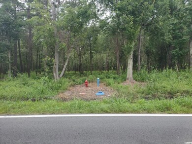 66Hwy Tr D E Fox Bay Rd, Loris, SC 29569 - photo 3