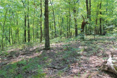 0 Pummill Rd, Fayetteville, AR 72701 - photo 2