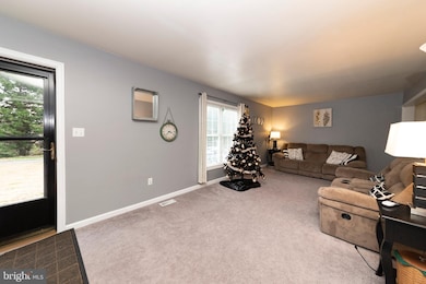 236 Trinity Farm Ln, Centreville, MD 21617 - photo 7