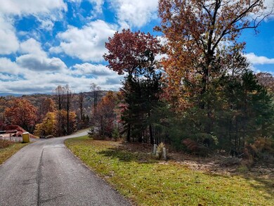 LT 29 Sharp Top Settlement, Blairsville, GA 30512 - photo 7