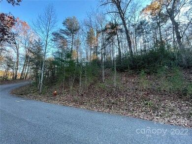 TBD Yates Ln unit 116, Lake Lure, NC 28746 - photo 2