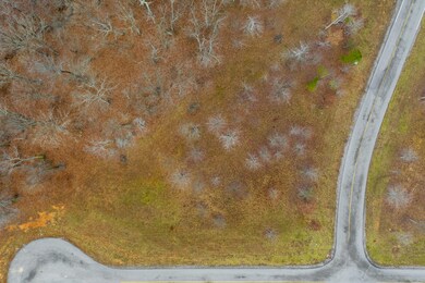 0 Hovering Hawk Dr unit 1329187, Jasper, TN 37347 - photo 4