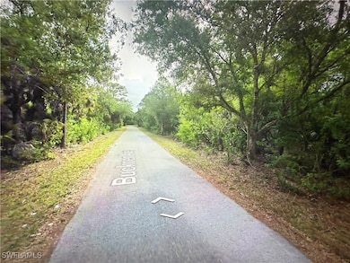 23423 Buckner Ave, Port Charlotte, FL 33980 - photo 7