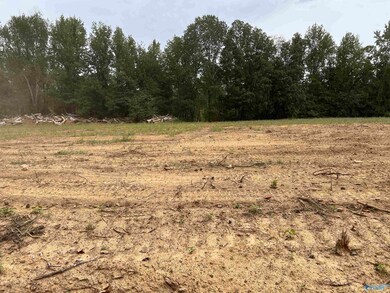 21256 Holland Rd, Athens, AL 35614 - photo 2
