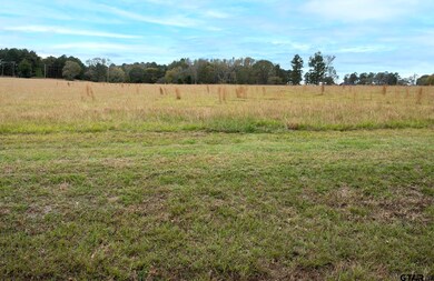 Lt 1  TBD Fm 1892, Frankston, TX 75763 - photo 6