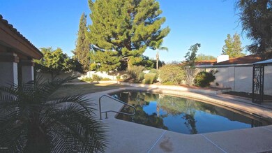 Back Yard Pool/Landscaping
