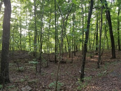 20180604_195700_resized-1