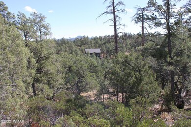 1970 S Pleasant View Dr, Show Low, AZ 85901 - photo 6