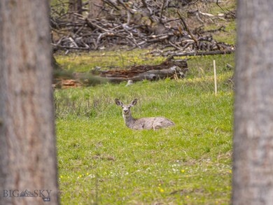 TBD N Fork Rd, Big Sky, MT 59716 - photo 6