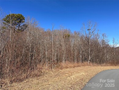 0 Winding Ridge unit 158 CAR4230713, Lake Lure, NC 28746 - photo 4