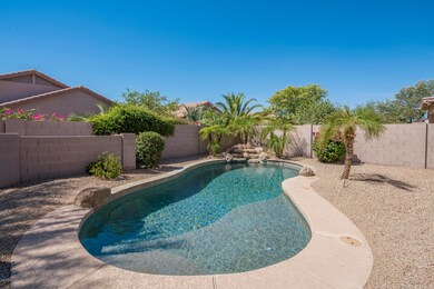 Pebble Tec Pool with Water Feature
