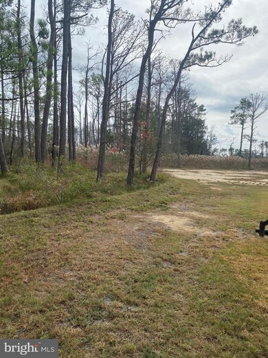 2907 Goose Creek Rd, Toddville, MD 21672 - photo 2