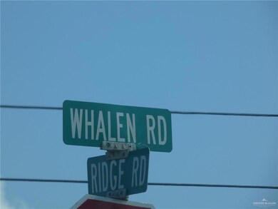 1153 S Whalen Rd, Alamo, TX 78516 - photo 3